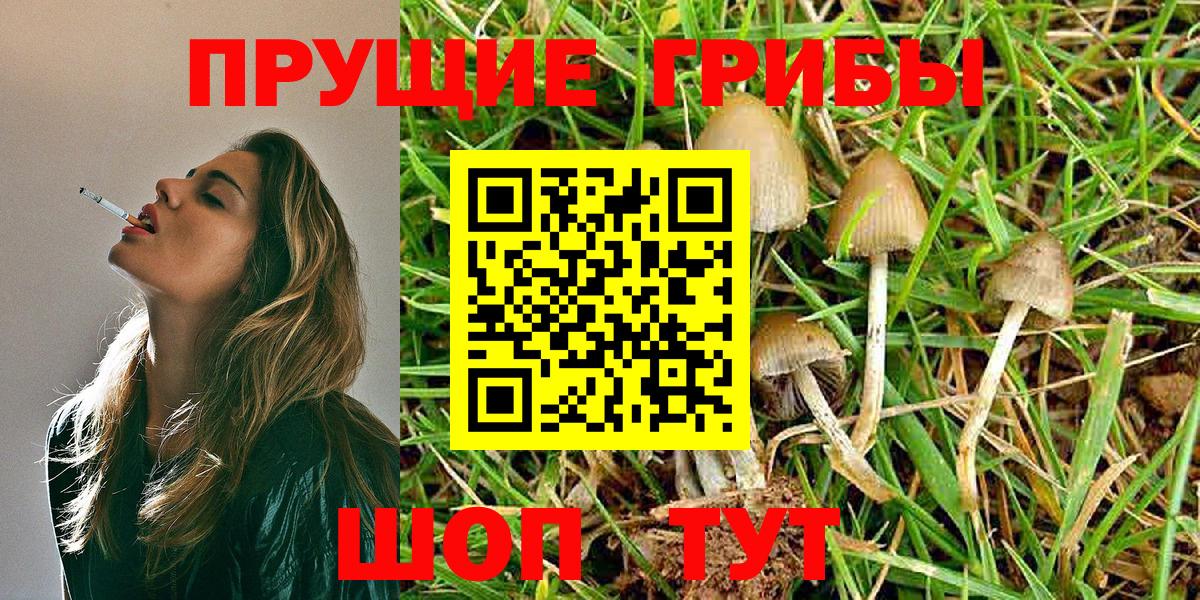 Галлюциногенные грибы Magic Shrooms  Вход с VPN  Галлюциногенные грибы прущие грибы  цены наркотик  Гусь-Хрустальный 